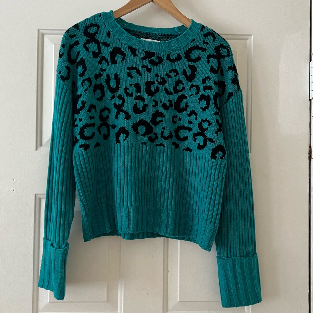 Turquoise cheetah print sweater